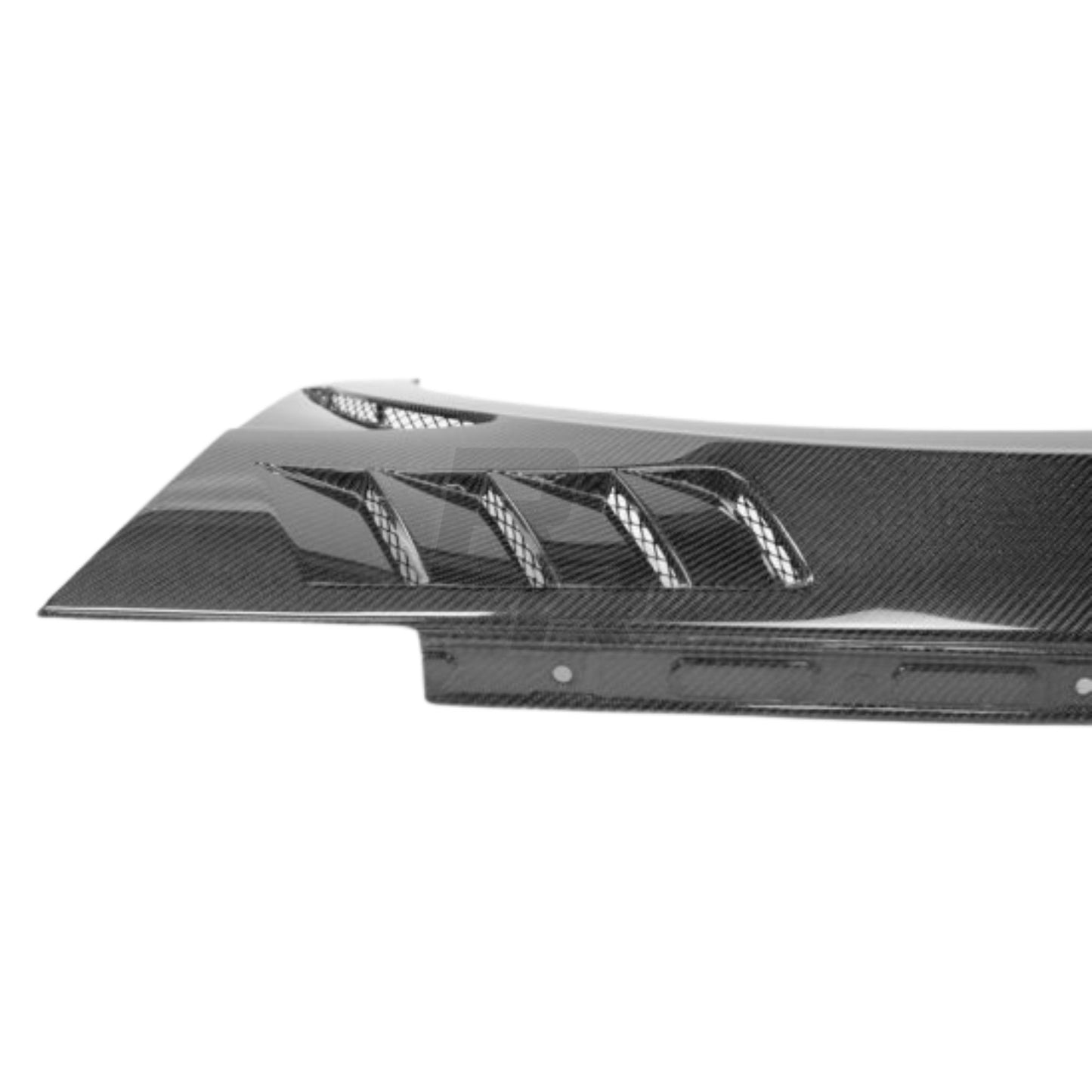 2020-2023 Elantra N Carbon Fiber Fenders - RRHF2