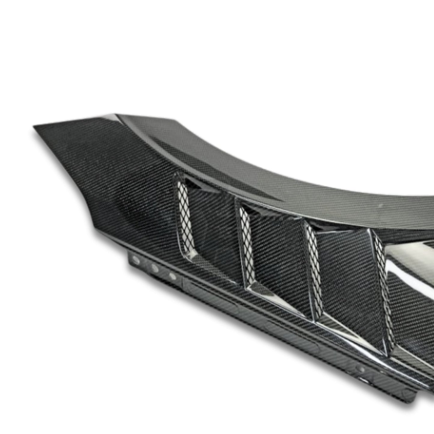 2020-2023 Elantra N Carbon Fiber Fenders - RRHF3