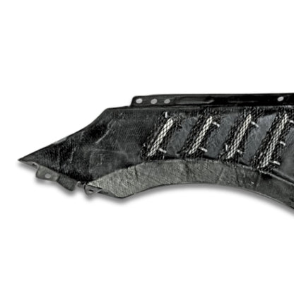 2020-2023 Elantra N Carbon Fiber Fenders - RRHF3