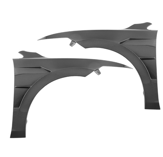 Volkswagen Golf MK8 Carbon Fiber Front Fenders - RRVWFF2
